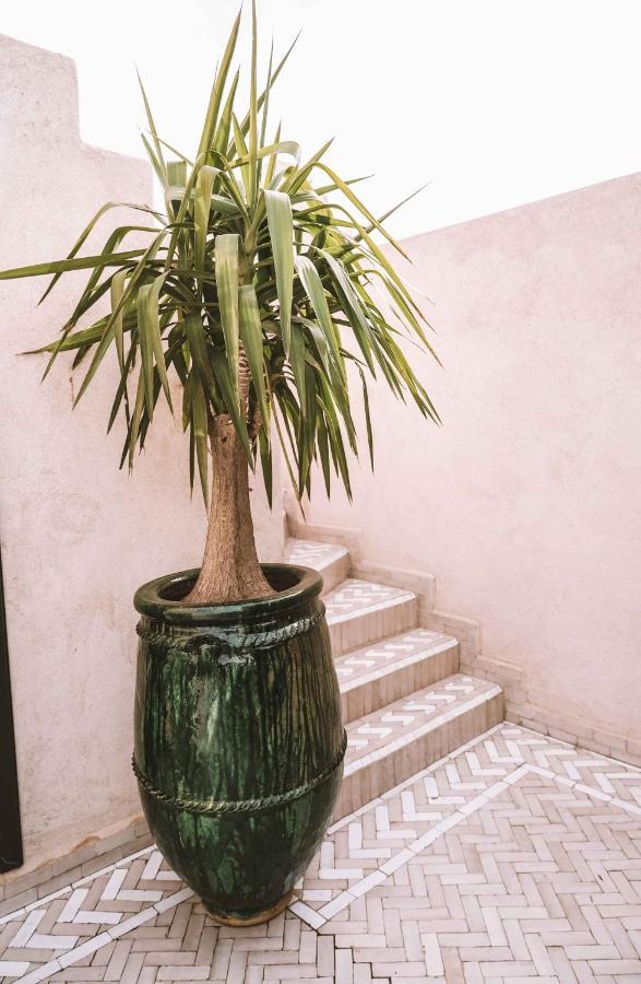 Hotel Oasis الدخلة المظهر الخارجي الصورة
